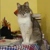Отзыв от Полина Бессонова